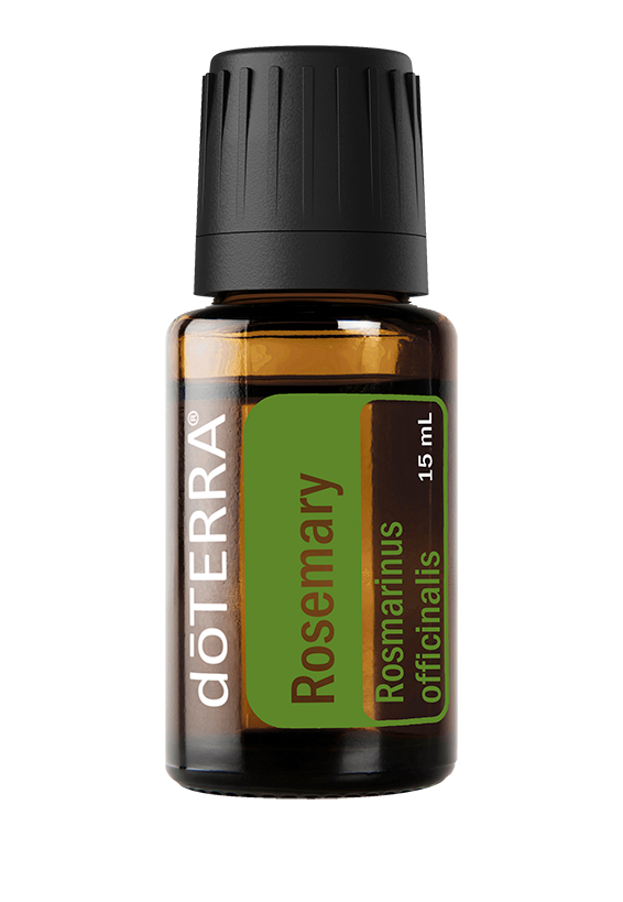 Rosemary 15 ML Essential Oil