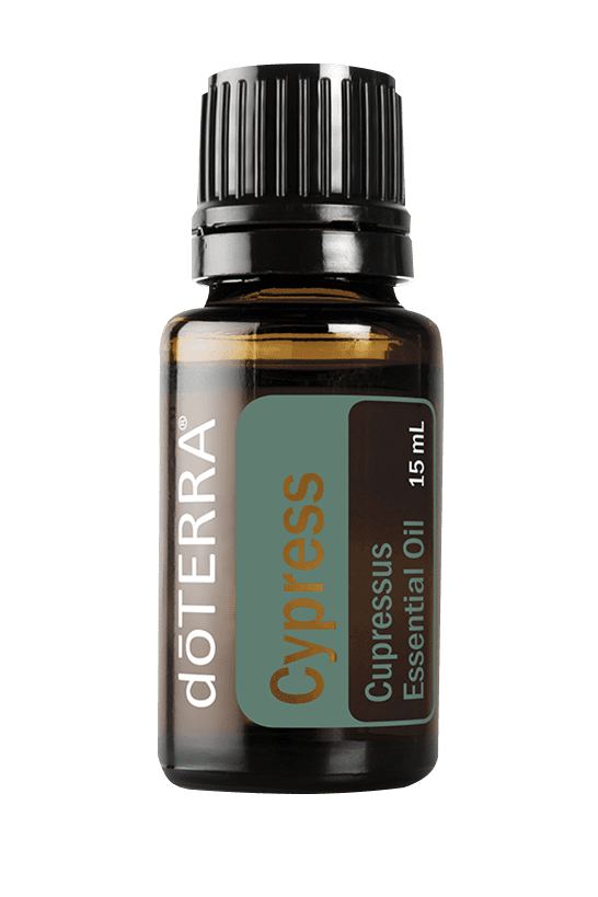 Cypress 15 ML Essential Oil